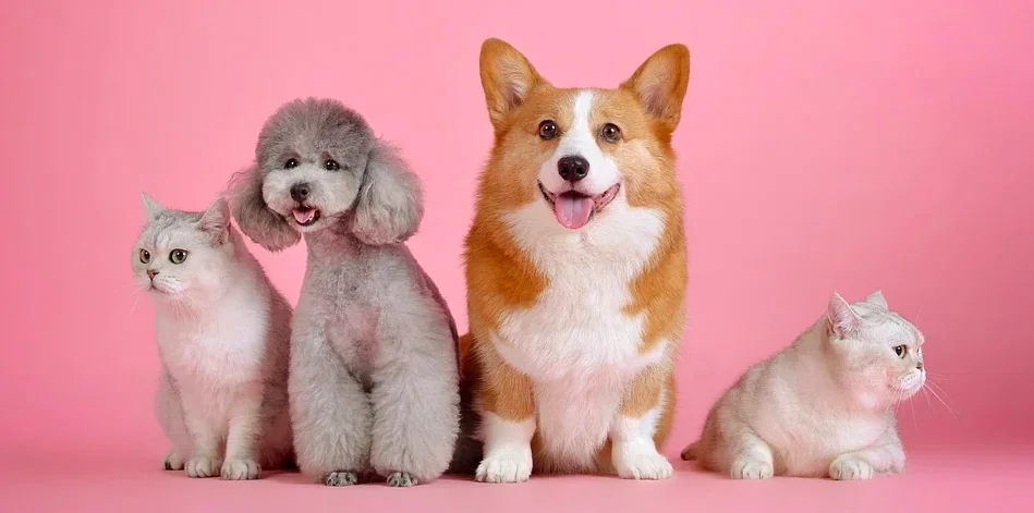 La Grecia al top contro i maltrattamenti